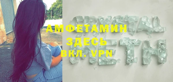 гидра Абаза