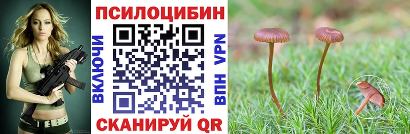 Псилоцибиновые грибы ЛСД цены наркотик Алексин